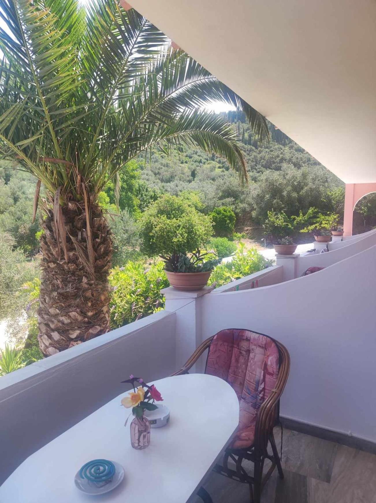 Marianna House Hotel Agios Georgios Pagon Buitenkant foto